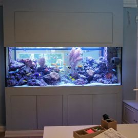 Raumteiler mit Aquarium
